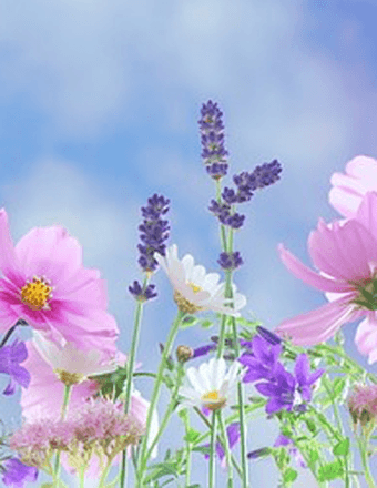 Dina Marie Byrnes Obituary